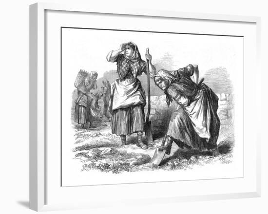 Peasant Women in Roscommon, Ireland, Working in the Field Digging the Earth with Shovels-null-Framed Giclee Print