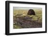 Peat Cutting, Connemara, County Galway, Connacht, Republic of Ireland-Gary Cook-Framed Premium Photographic Print