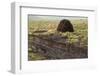 Peat Cutting, Connemara, County Galway, Connacht, Republic of Ireland-Gary Cook-Framed Premium Photographic Print