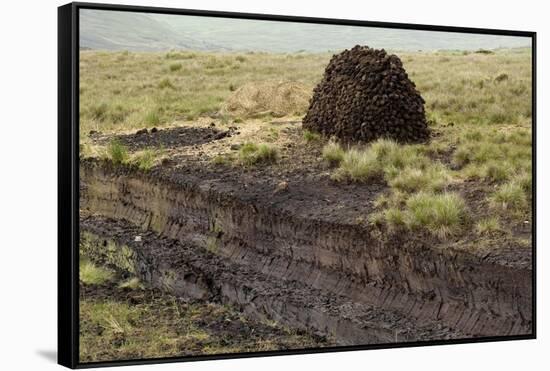 Peat Cutting, Connemara, County Galway, Connacht, Republic of Ireland-Gary Cook-Framed Stretched Canvas