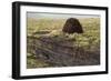 Peat Cutting, Connemara, County Galway, Connacht, Republic of Ireland-Gary Cook-Framed Photographic Print