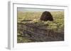 Peat Cutting, Connemara, County Galway, Connacht, Republic of Ireland-Gary Cook-Framed Photographic Print