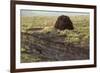 Peat Cutting, Connemara, County Galway, Connacht, Republic of Ireland-Gary Cook-Framed Photographic Print