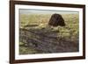 Peat Cutting, Connemara, County Galway, Connacht, Republic of Ireland-Gary Cook-Framed Photographic Print