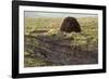Peat Cutting, Connemara, County Galway, Connacht, Republic of Ireland-Gary Cook-Framed Photographic Print
