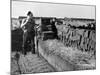 Peat Cutting, March 1954-null-Mounted Photographic Print