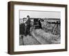 Peat Cutting, March 1954-null-Framed Photographic Print