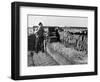 Peat Cutting, March 1954-null-Framed Photographic Print