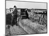 Peat Cutting, March 1954-null-Mounted Photographic Print