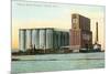 Peavey Grain Elevator, Duluth, Minnesota-null-Mounted Premium Giclee Print