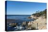 Pebble Beach, 17 Miles Drive, Carmel, California, United States of America, North America-Sergio-Stretched Canvas