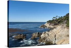 Pebble Beach, 17 Miles Drive, Carmel, California, United States of America, North America-Sergio-Stretched Canvas