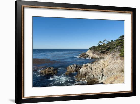 Pebble Beach, 17 Miles Drive, Carmel, California, United States of America, North America-Sergio-Framed Photographic Print