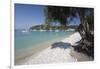 Pebble beach and bay with olive tree, Lakka, Paxos, Ionian Islands, Greek Islands, Greece, Europe-Stuart Black-Framed Photographic Print