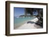 Pebble beach and bay with olive tree, Lakka, Paxos, Ionian Islands, Greek Islands, Greece, Europe-Stuart Black-Framed Photographic Print