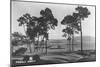 Pebble Beach, CA - Golf Course Coast View Photograph-Lantern Press-Mounted Art Print