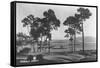 Pebble Beach, CA - Golf Course Coast View Photograph-Lantern Press-Framed Stretched Canvas