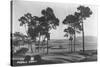 Pebble Beach, CA - Golf Course Coast View Photograph-Lantern Press-Stretched Canvas
