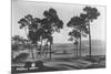 Pebble Beach, CA - Golf Course Coast View Photograph-Lantern Press-Mounted Art Print