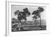 Pebble Beach, CA - Golf Course Coast View Photograph-Lantern Press-Framed Art Print