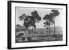 Pebble Beach, CA - Golf Course Coast View Photograph-Lantern Press-Framed Art Print