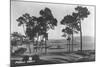 Pebble Beach, CA - Golf Course Coast View Photograph-Lantern Press-Mounted Art Print