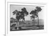 Pebble Beach, CA - Golf Course Coast View Photograph-Lantern Press-Framed Premium Giclee Print