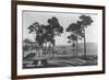 Pebble Beach, CA - Golf Course Coast View Photograph-Lantern Press-Framed Premium Giclee Print