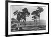 Pebble Beach, CA - Golf Course Coast View Photograph-Lantern Press-Framed Premium Giclee Print