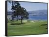 Pebble Beach, California, USA-null-Framed Stretched Canvas