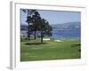 Pebble Beach, California, USA-null-Framed Photographic Print