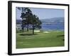 Pebble Beach, California, USA-null-Framed Photographic Print