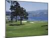 Pebble Beach, California, USA-null-Mounted Photographic Print