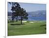 Pebble Beach, California, USA-null-Framed Photographic Print