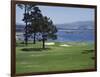 Pebble Beach, California, USA-null-Framed Photographic Print