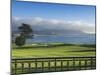 Pebble Beach Golf Club, Carmel, California, USA-Rob Tilley-Mounted Premium Photographic Print