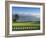 Pebble Beach Golf Club, Carmel, California, USA-Rob Tilley-Framed Photographic Print