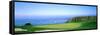 Pebble Beach Golf Course, Pebble Beach, Monterey County, California, USA-null-Framed Stretched Canvas