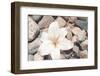 Pebble Beach I-Jason Johnson-Framed Photographic Print