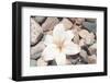 Pebble Beach I-Jason Johnson-Framed Photographic Print