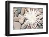 Pebble Beach II-Jason Johnson-Framed Photographic Print