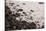 Pebble Beach, Punta De Teno, Tenerife, Canary Islands, Spain-Guido Cozzi-Stretched Canvas