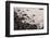 Pebble Beach, Punta De Teno, Tenerife, Canary Islands, Spain-Guido Cozzi-Framed Photographic Print