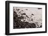 Pebble Beach, Punta De Teno, Tenerife, Canary Islands, Spain-Guido Cozzi-Framed Photographic Print