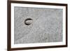 Pebble in hole of large rock, Sidmouth, Devon, England-David Burton-Framed Photographic Print