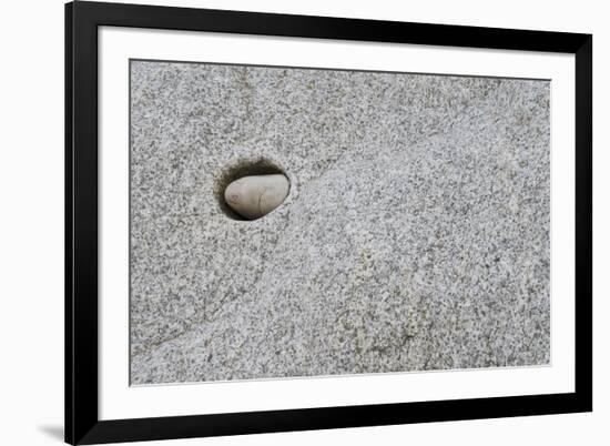 Pebble in hole of large rock, Sidmouth, Devon, England-David Burton-Framed Photographic Print