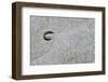 Pebble in hole of large rock, Sidmouth, Devon, England-David Burton-Framed Photographic Print