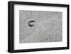 Pebble in hole of large rock, Sidmouth, Devon, England-David Burton-Framed Photographic Print