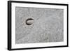 Pebble in hole of large rock, Sidmouth, Devon, England-David Burton-Framed Photographic Print