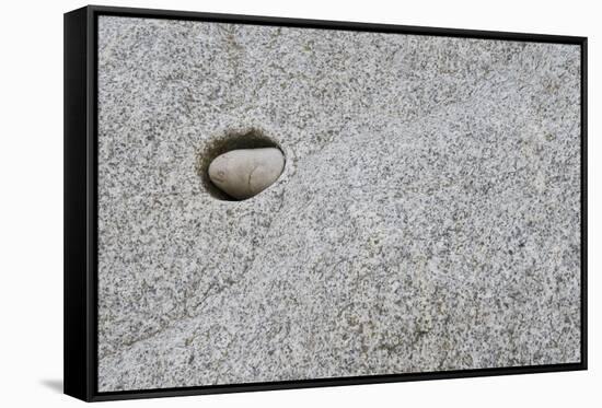 Pebble in hole of large rock, Sidmouth, Devon, England-David Burton-Framed Stretched Canvas